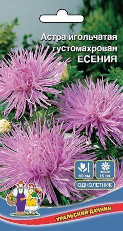 Купить оптом в Ботанике семена Астра Есения УД бренд Уральский дачник