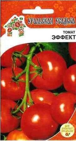 Купить оптом в Ботанике семена Томат Эффект УД бренд Уральский дачник
