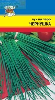 Купить оптом в Ботанике семена Лук на перо Чернушка УУ бренд Урожай Удачи