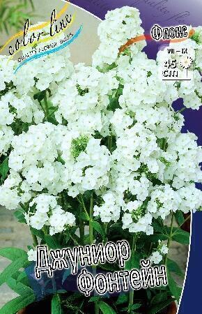 Купить оптом в Ботанике Флокс Джуниор Фонтейн 2 шт