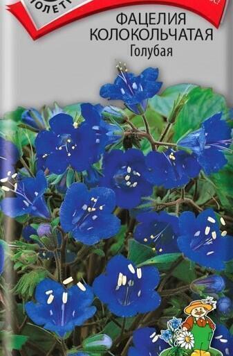 Купить оптом в Ботанике семена Фацелия колокольчатая Голубая Поиск бренд Поиск