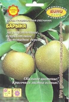 Купить оптом в Ботанике семена Груша Барыня Аэл бренд Аэлита