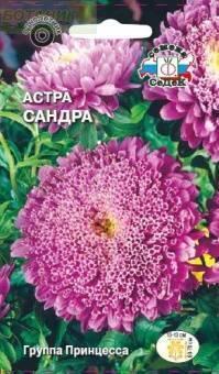Купить оптом в Ботанике семена Астра Сандра принцесса Сед бренд СеДеК