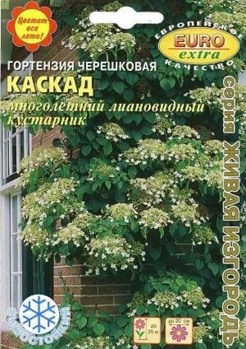 Купить оптом в Ботанике семена Гортензия Каскад черешковая Аэл бренд Аэлита