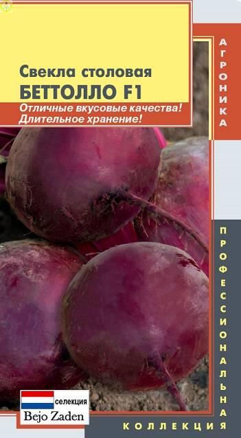 Купить оптом в Ботанике семена Свекла столовая Беттолло F1 Плз бренд Плазмас