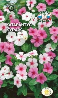 Купить оптом в Ботанике семена Катарантус (барвинок) Кураж Сед бренд СеДеК