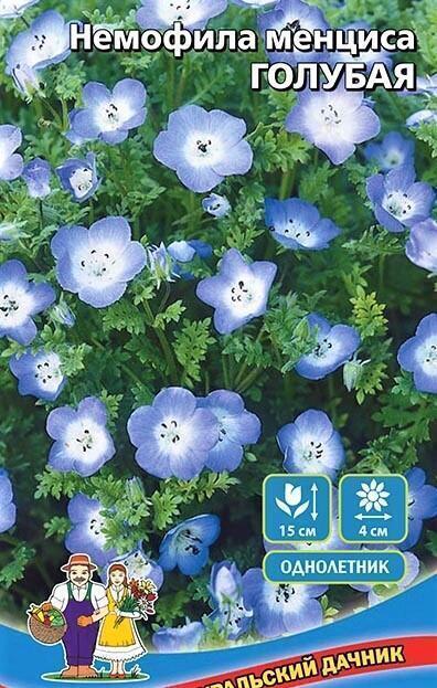 Купить оптом в Ботанике семена Немофила Голубая менциса УД бренд Уральский дачник