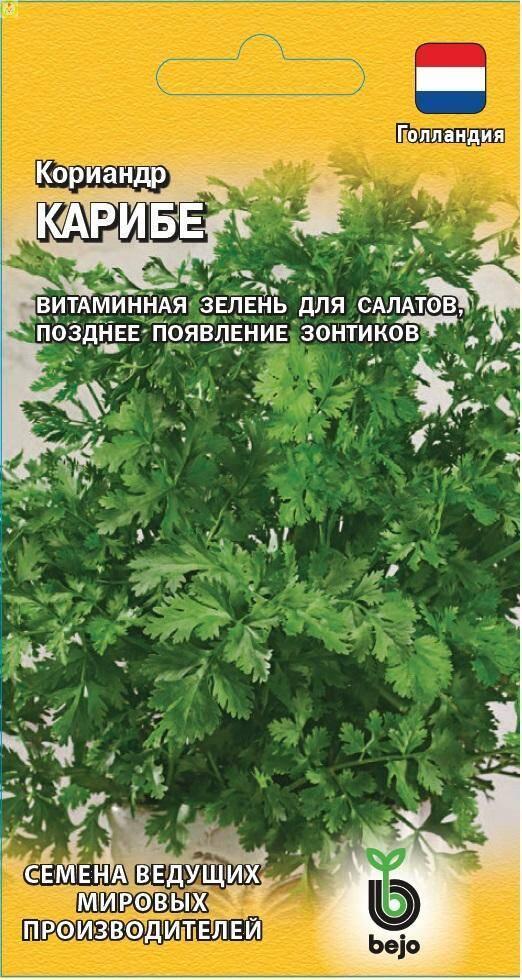 Купить оптом в Ботанике семена Кориандр Карибе Гав бренд Гавриш