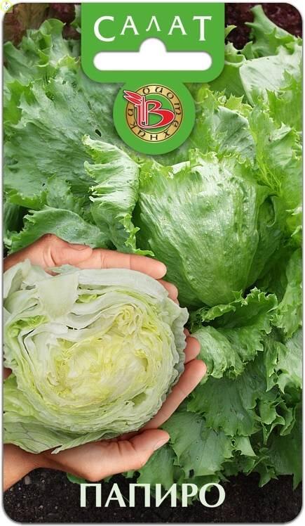 Купить оптом в Ботанике семена Салат Папиро Био бренд Биотехника