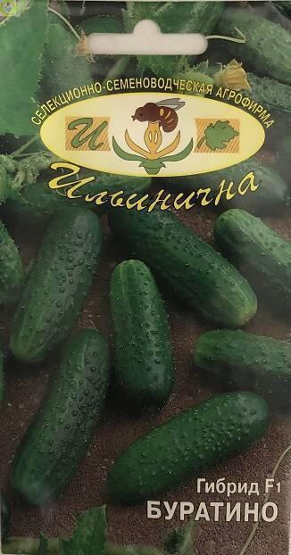Купить оптом в Ботанике семена Огурец Буратино F1 Иль бренд Ильинична