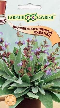 Купить оптом в Ботанике семена Шалфей Кубанец лекарственный Гав бренд Гавриш