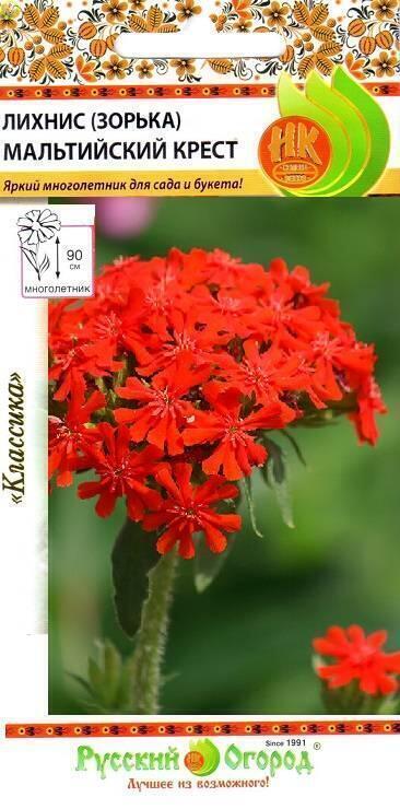 Купить оптом в Ботанике семена Лихнис Мальтийский крест НК бренд НК
