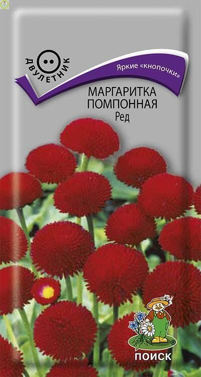 Купить оптом в Ботанике семена Маргаритка помпонная Ред Поиск бренд Поиск