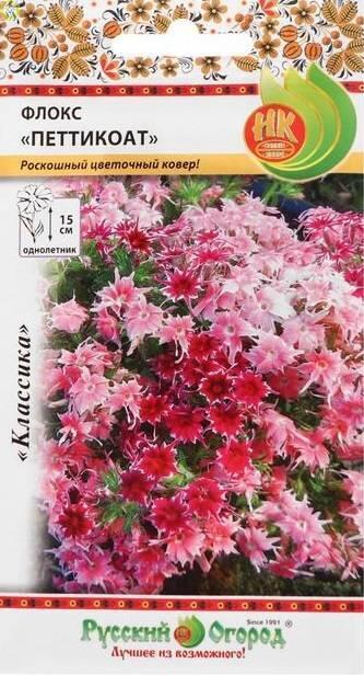 Купить оптом в Ботанике семена Флокс Петтикоат смесь однолетний НК бренд НК