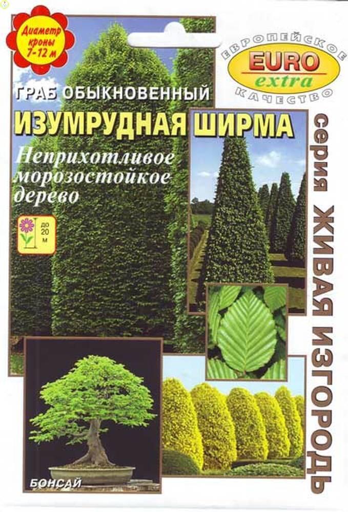Купить оптом в Ботанике семена Граб Изумрудная ширма обыкновенный Аэл бренд Аэлита