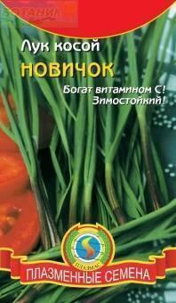 Купить оптом в Ботанике семена Лук косой Новичок Плз бренд Плазмас