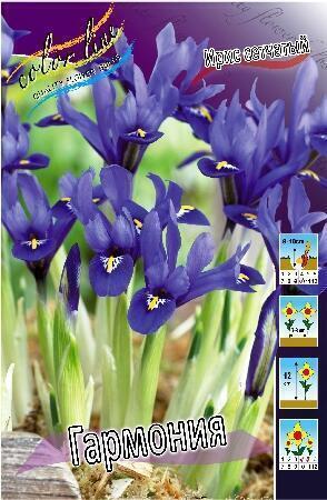 Купить оптом в Ботанике Ирис Гармония 10 шт
