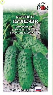 Купить оптом в Ботанике семена Огурец Кузнечик F1 ЗС бренд Золотая сотка