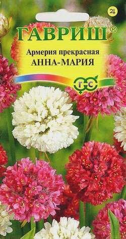 Купить оптом в Ботанике семена Армерия Анна Мария Гав бренд Гавриш