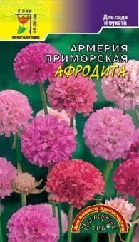 Купить оптом в Ботанике семена Армерия Афродита приморская ЦС бренд Цветущий Сад