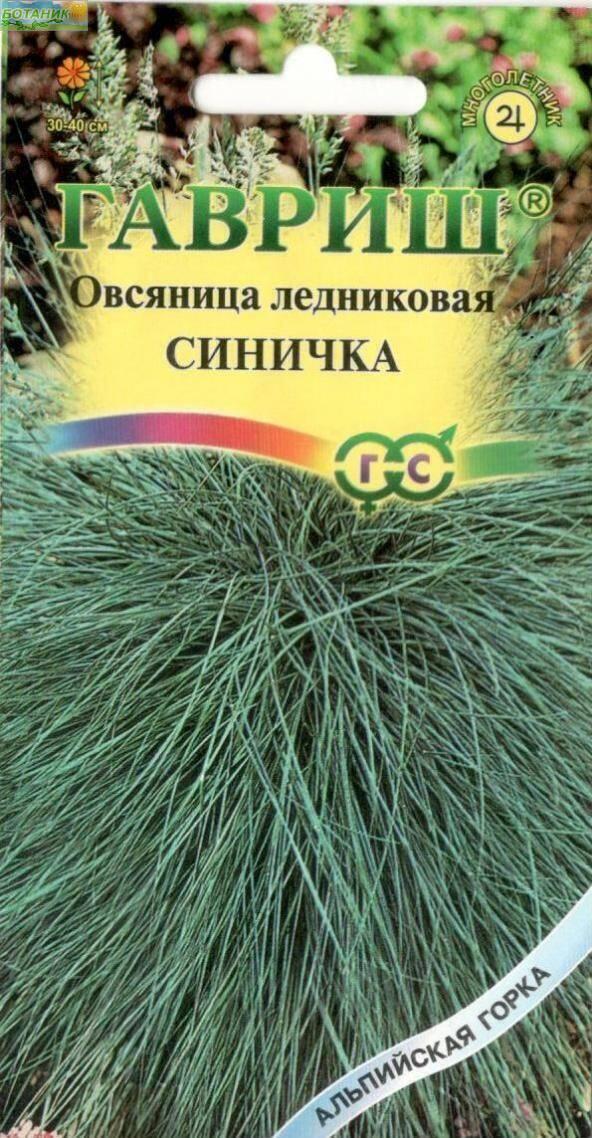 Купить оптом в Ботанике семена Овсяница Синичка ледниковая Гав бренд Гавриш