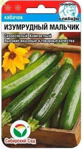 Купить оптом в Ботанике семена Кабачок Изумрудный принц СС бренд Сиб.сад