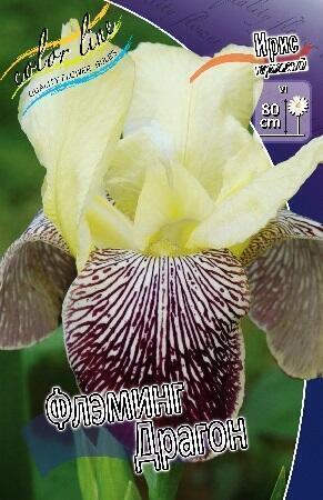 Купить оптом в Ботанике Ирис Флэминг Драгон 2 шт