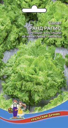 Купить оптом в Ботанике семена Салат Гранд Рапидс УД бренд Уральский дачник