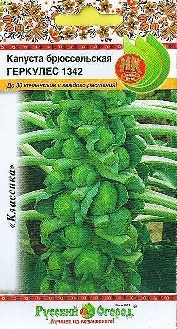 Купить оптом в Ботанике семена Капуста брюссельская Геркулес НК бренд НК