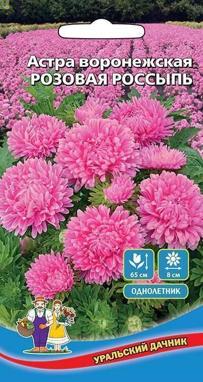 Купить оптом в Ботанике семена Астра Розовая россыпь УД бренд Уральский дачник
