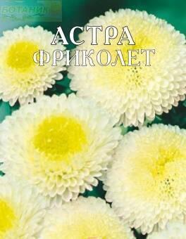 Купить оптом в Ботанике семена Астра Фриколет Арт бренд Артикул