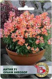 Семена Антирринум Антик оранж биколор F1