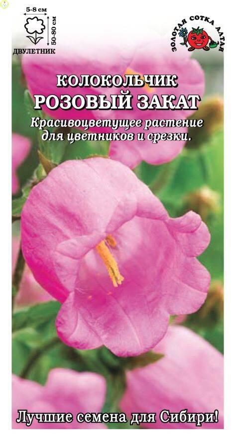 Купить оптом в Ботанике семена Колокольчик Розовый закат средний ЗС бренд Золотая сотка