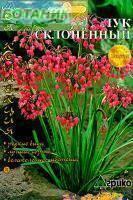 Купить оптом в Ботанике семена Лук декоративный Склоненный Агр бренд Агрико