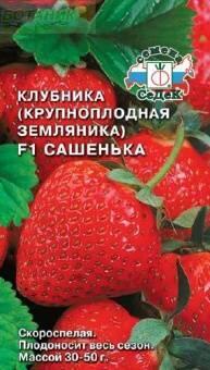 Купить оптом в Ботанике семена Клубника Сашенька F1 Сед бренд СеДеК