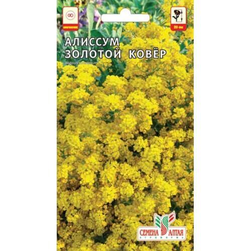 Купить оптом в Ботанике семена Алиссум Золотой ковер СА бренд Семена Алтая