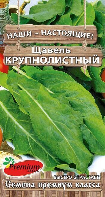 Купить оптом в Ботанике семена Щавель Крупнолистовой ПС бренд Премиум Сидс