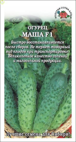 Купить оптом в Ботанике семена Огурец Маша F1 ЗС бренд Золотая сотка