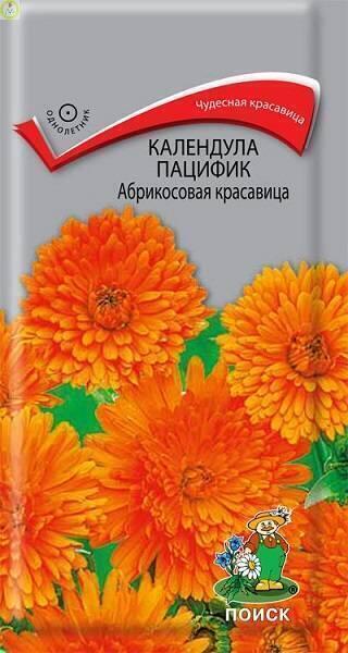 Купить оптом в Ботанике семена Календула Абрикосовая красавица пацифик Поиск бренд Поиск