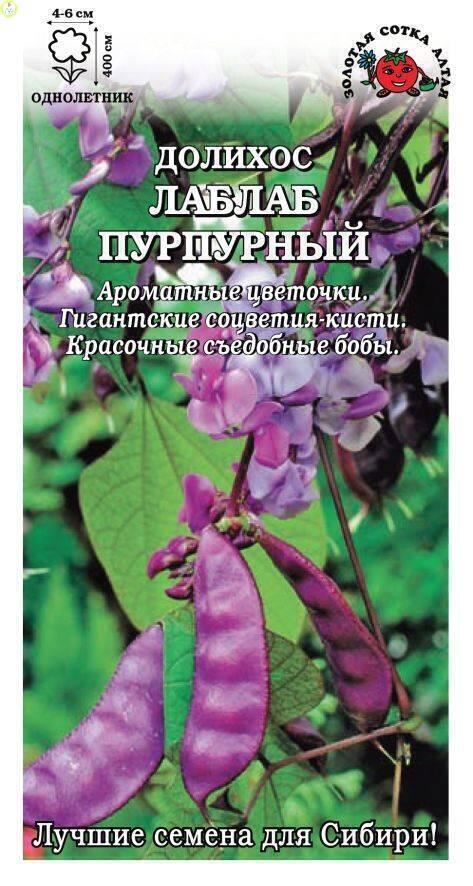 Купить оптом в Ботанике семена Долихос Лаблаб ЗС бренд Золотая сотка