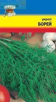 Купить оптом в Ботанике семена Укроп Борей УУ бренд Урожай Удачи