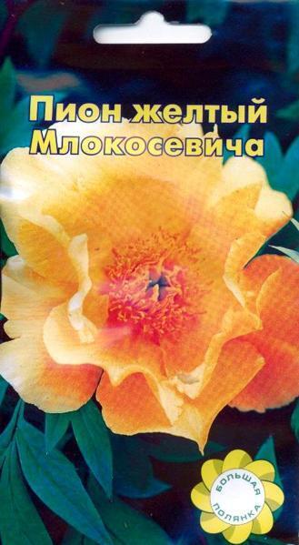 Купить оптом в Ботанике семена Пион Желтый Млокосевича УУ бренд Урожай Удачи