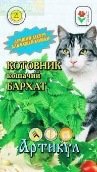 Купить оптом в Ботанике семена Котовник Кошачий бархат Арт бренд Артикул