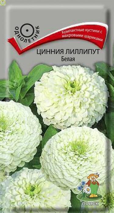 Купить оптом в Ботанике семена Цинния Лиллипут Белая Поиск бренд Поиск