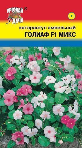Купить оптом в Ботанике семена Катарантус Голиаф микс УУ бренд Урожай Удачи
