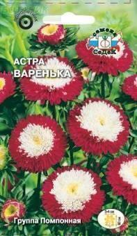 Купить оптом в Ботанике семена Астра Варенька Сед бренд СеДеК