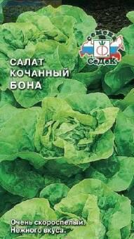 Купить оптом в Ботанике семена Салат Бона Сед бренд СеДеК