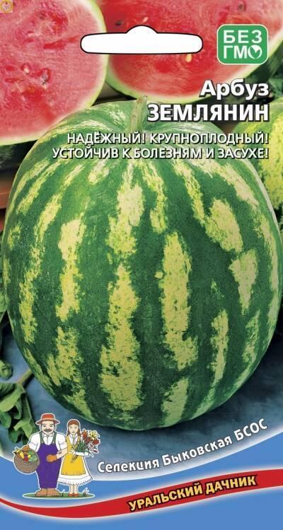 Купить оптом в Ботанике семена Арбуз Землянин УД бренд Уральский дачник