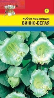 Купить оптом в Ботанике семена Кобея Винно-белая УУ бренд Урожай Удачи
