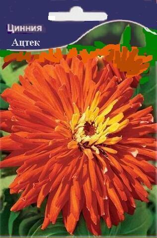 Купить оптом в Ботанике семена Цинния Астек Акв бренд Акварель